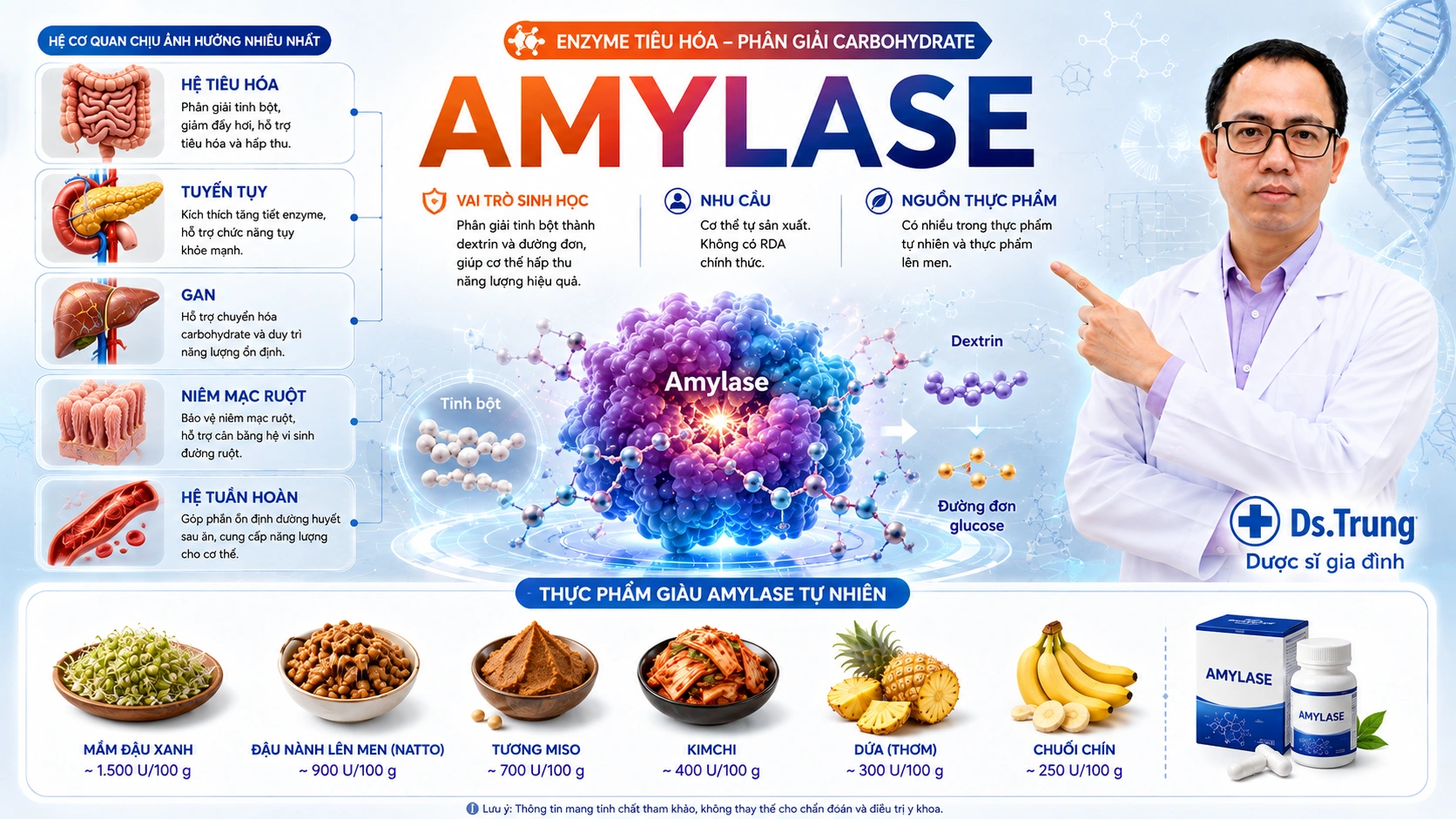 Amylase là gì? Vai trò của Amylase trong cơ thể