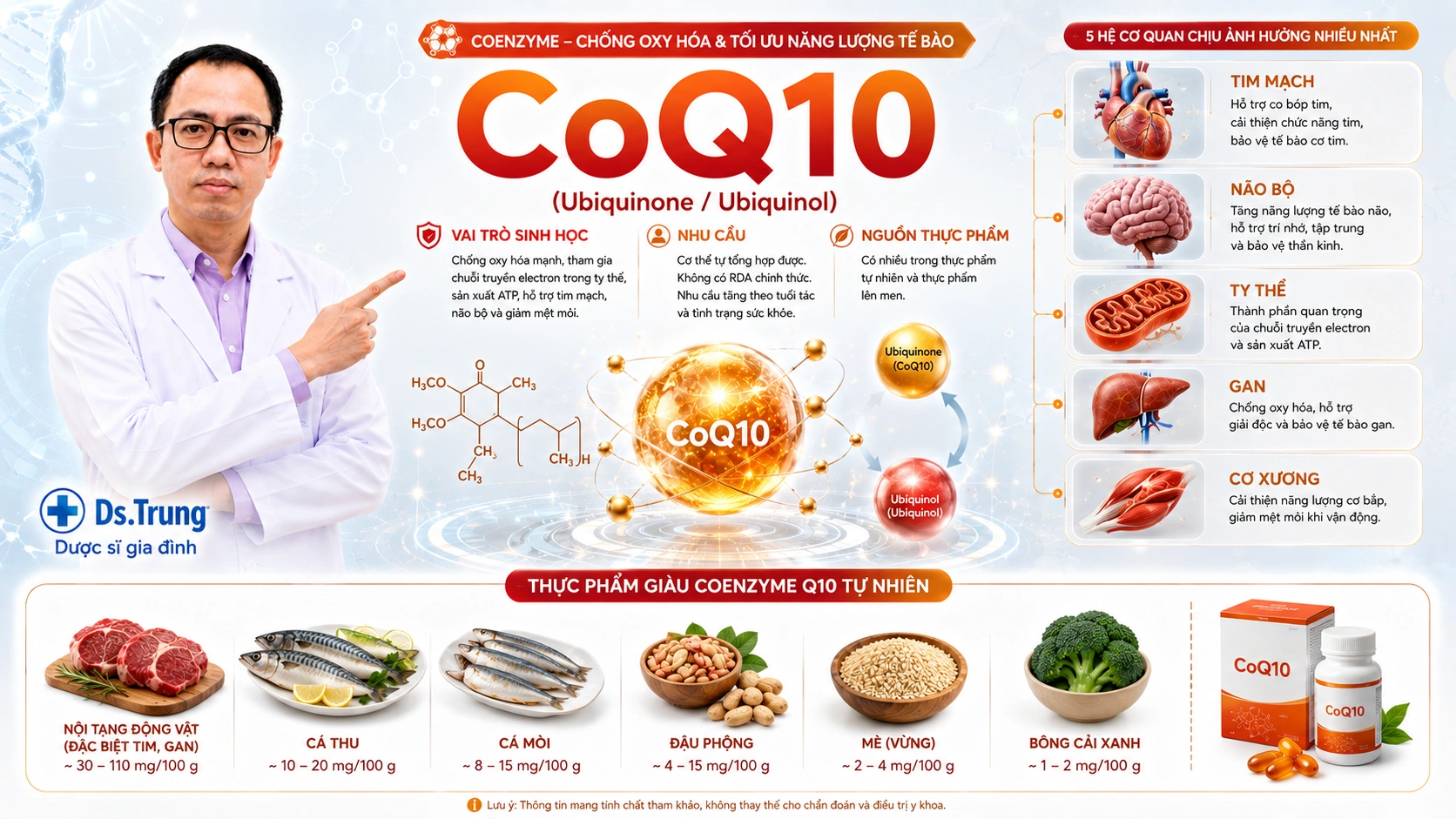 Coenzyme Q10 Là gì? Vai trò của CoQ10 trong cơ thể