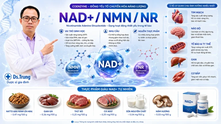 NAD+ / NMN / NR