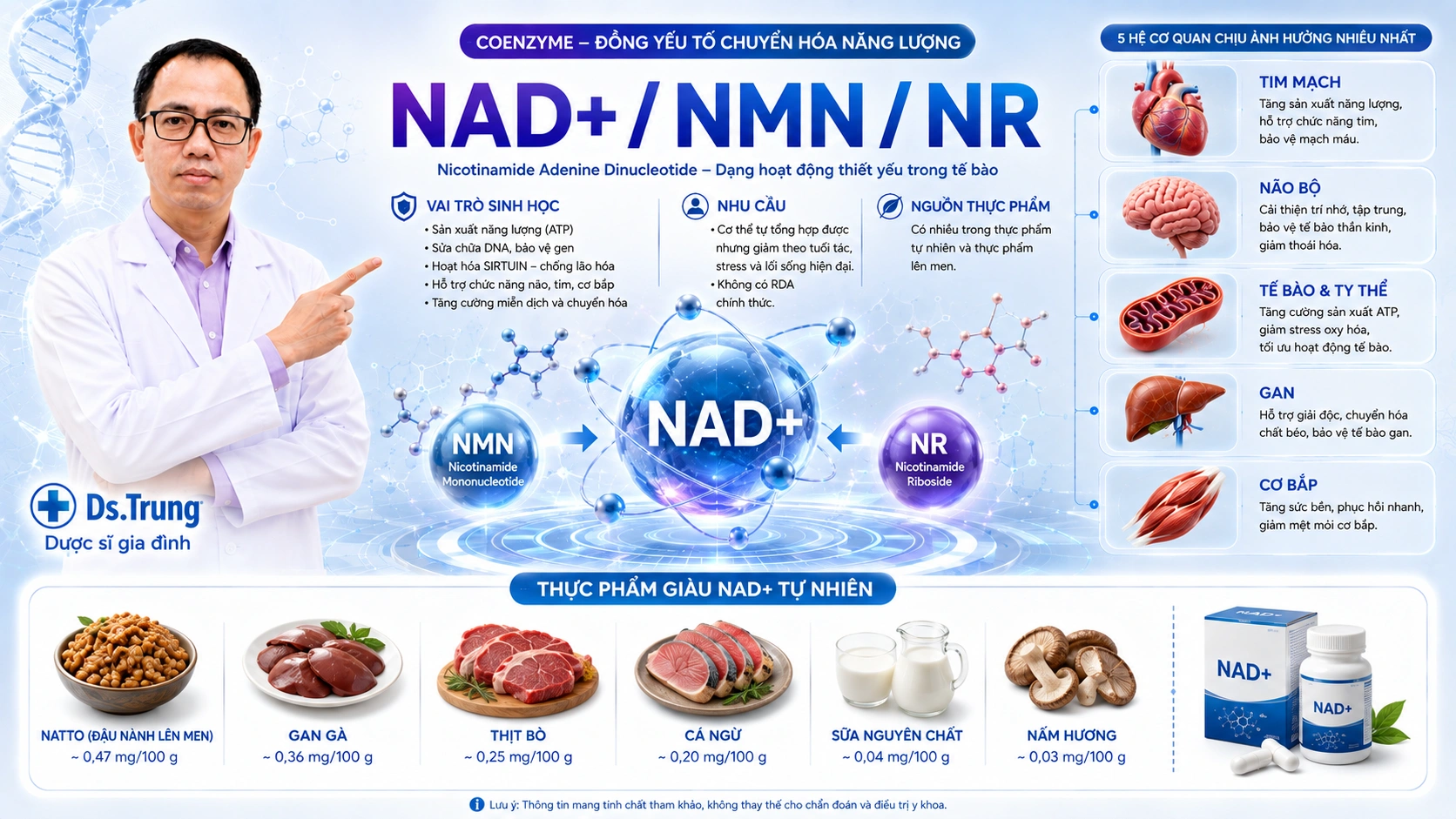 NAD+ / NMN / NR là gì? Vai trò của chúng trong cơ thể