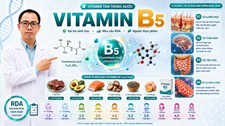 Vitamin B5