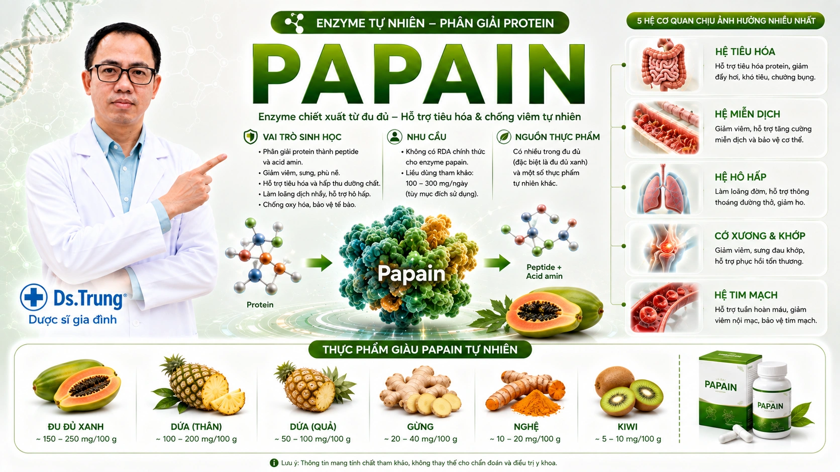 Papain là gì? Vai trò của Papain trong cơ thể